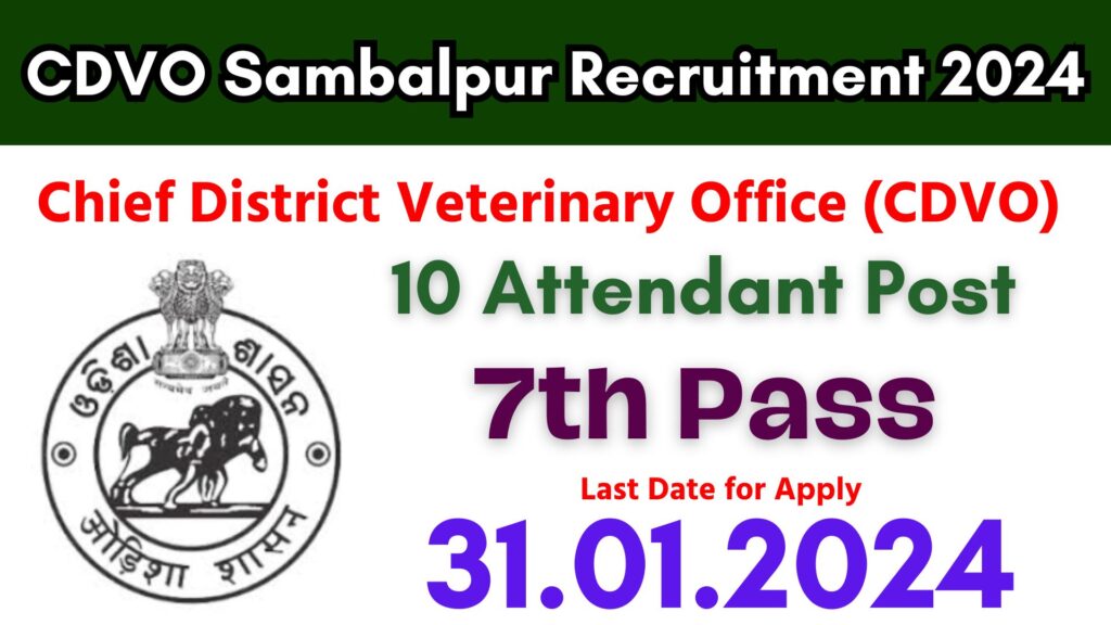 CDVO Sambalpur Recruitment 2024