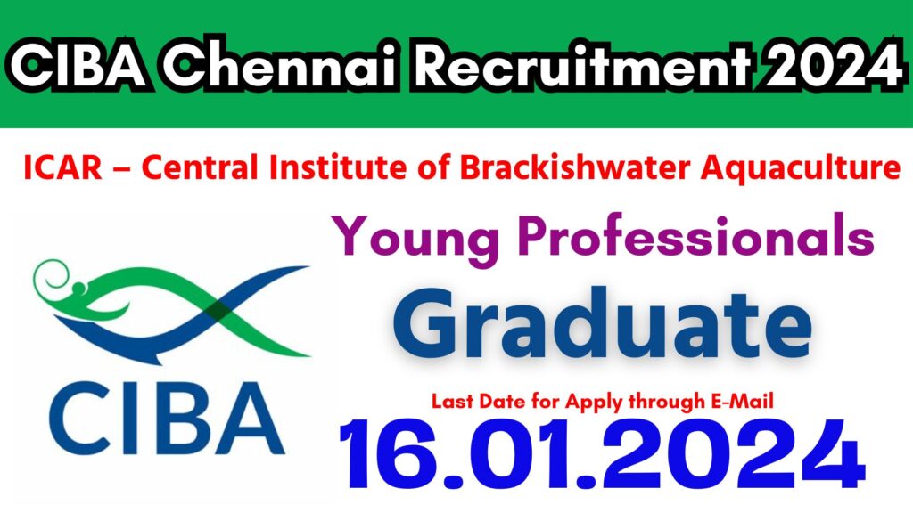 CIBA Chennai Recruitment 2024