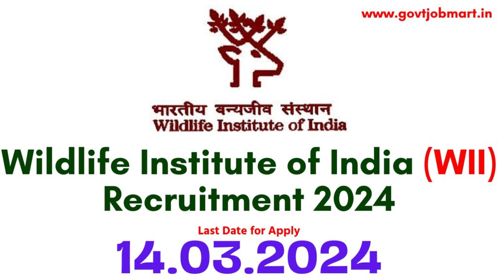 WII Dehradun Recruitment 2024