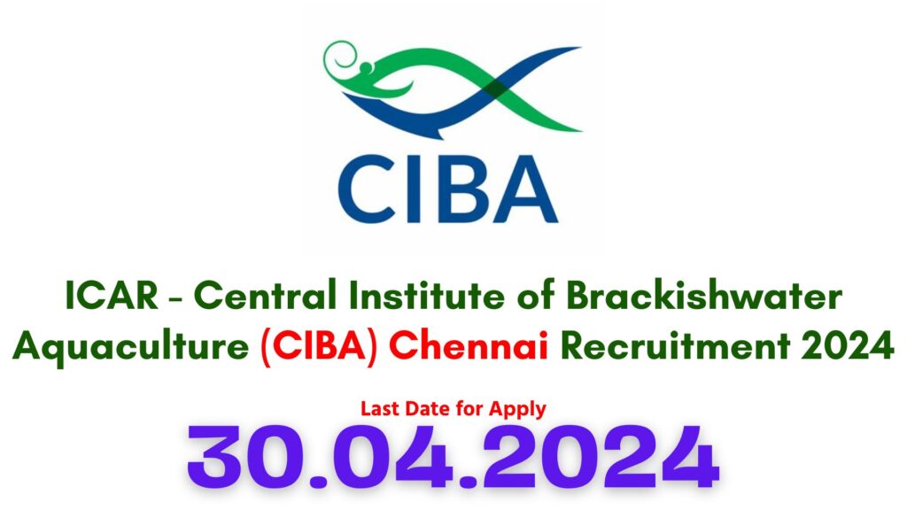 CIBA Chennai Recruitment 2024