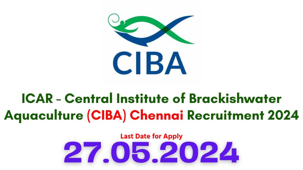 CIBA Chennai Recruitment 2024