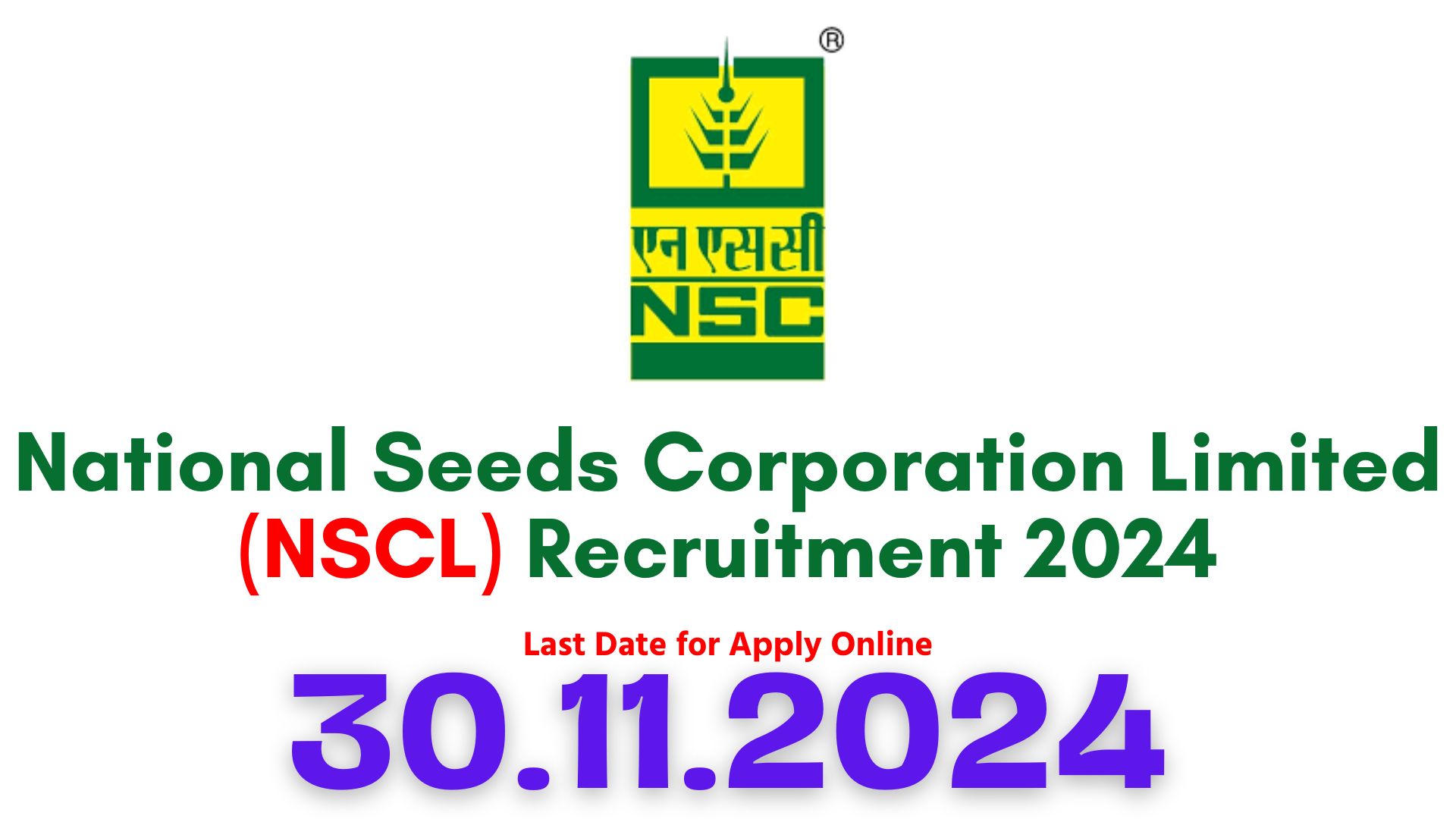 Nscl NSCL Management Trainee Recruitment 2024; 188 Vacancies – Apply Now ...