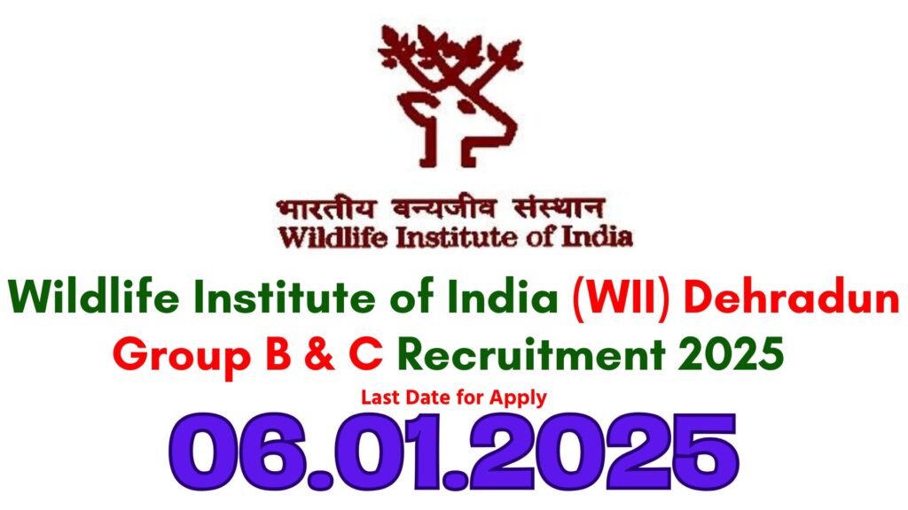 WII Group B & C Recruitment 2025