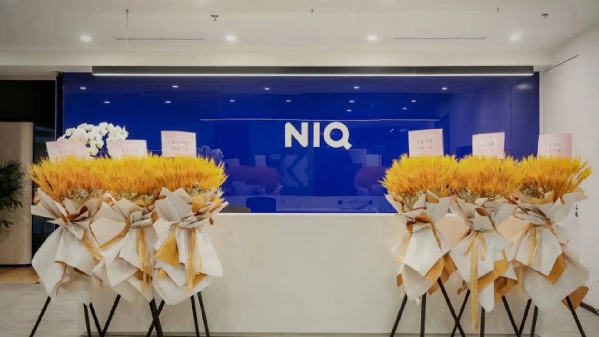 NIQ Recruitment Drive; Hiring Operations Analyst (Data)