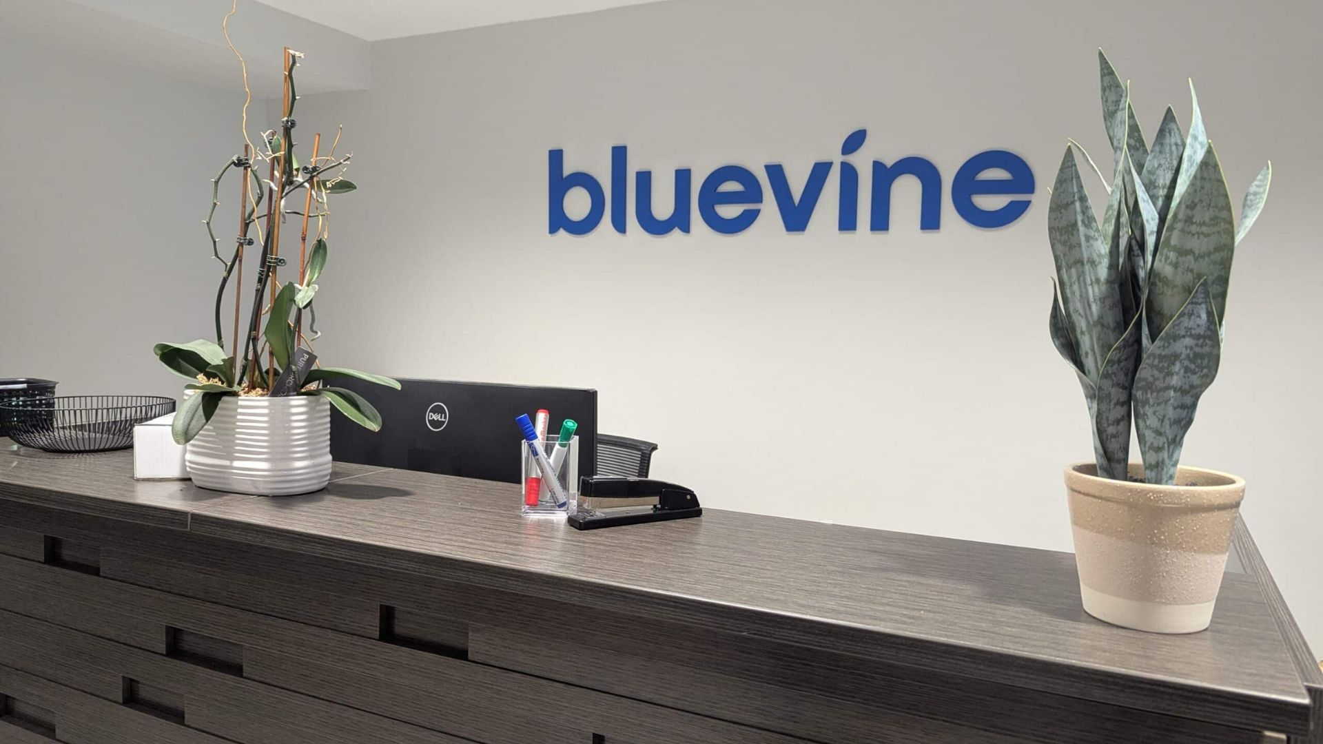 Bluevine Recruitment Drive; Hiring AML Specialist 