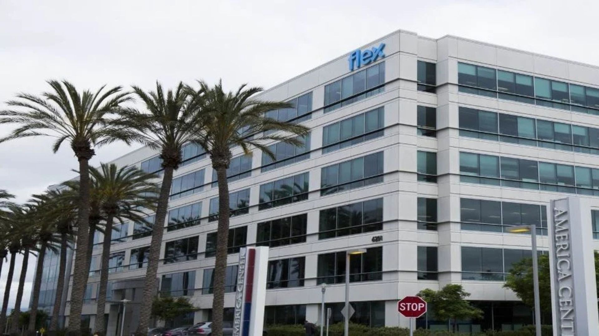Flex Recruitment Drive; Hiring Analyst