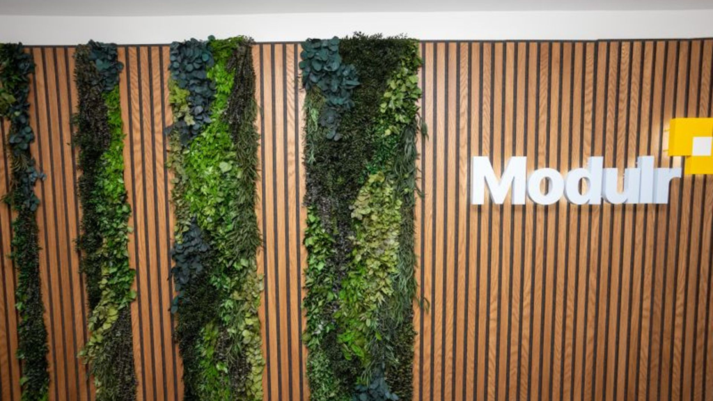 Modulr Recruitment Drive; Hiring Analyst