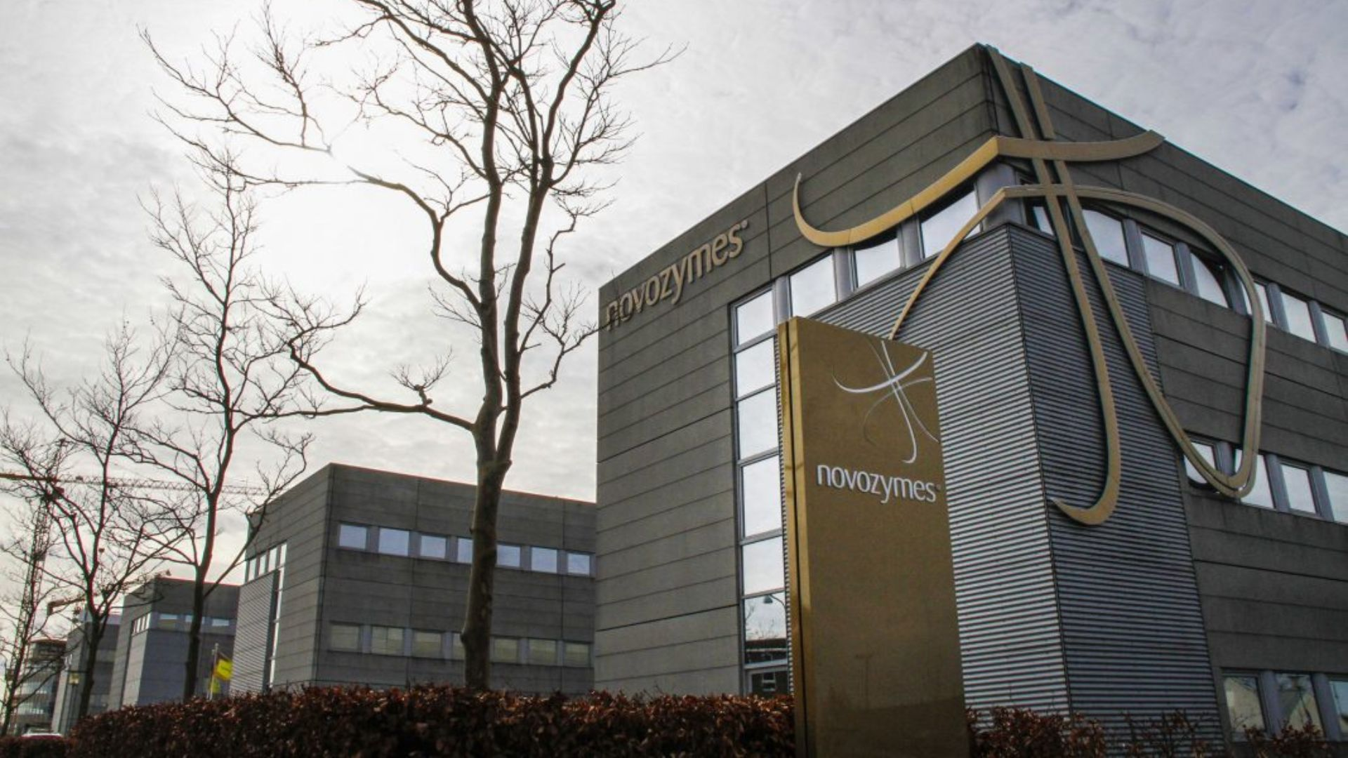 Novonesis Recruitment Drive; Hiring Accounting Assistant