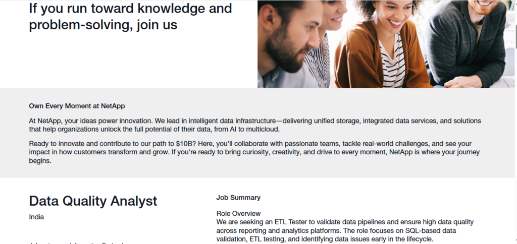 NetApp Work from Home Jobs; Hiring Data Quality Analyst