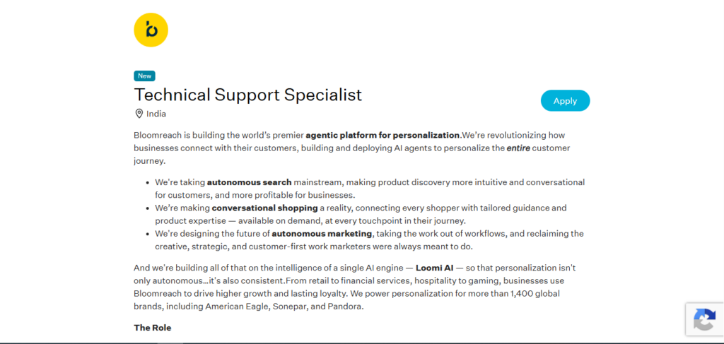 Bloomreach Work from Home Jobs; Hiring Technical Support Specialist